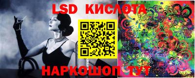 СК Ярославль