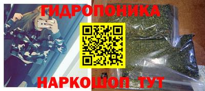 СК Ярославль