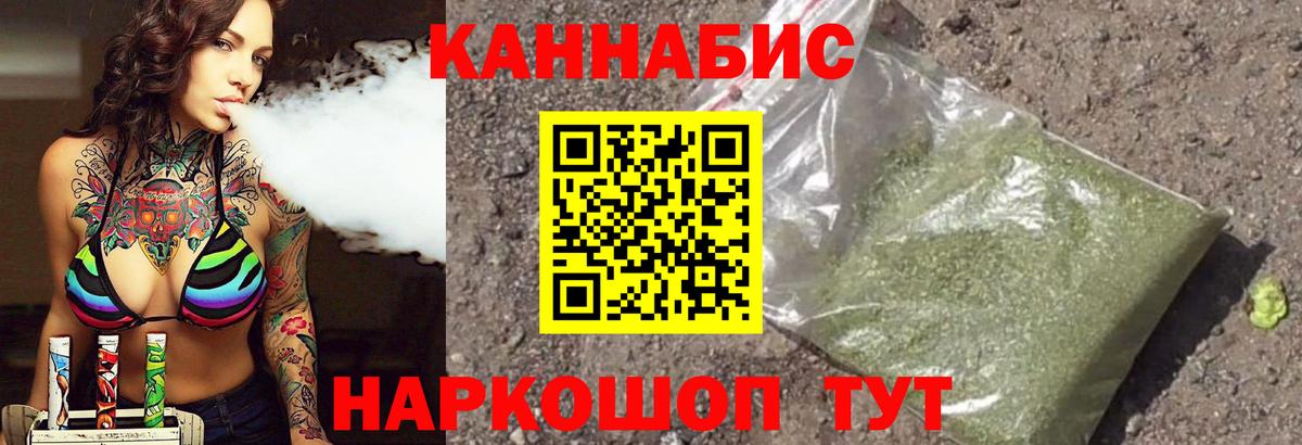 Канабис сатива Бердск